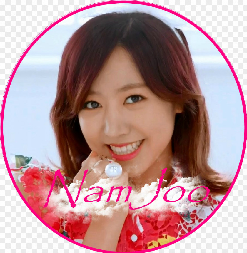 Kim Namjoo Nam-joo Apink Pink Blossom Mr. Chu PNG