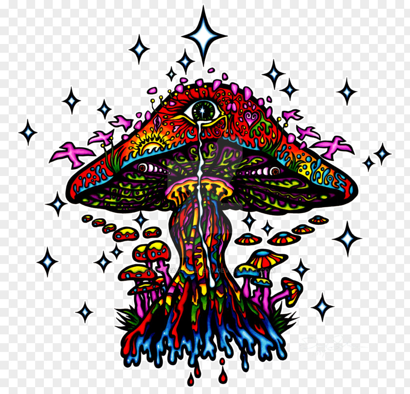 Mushroom Psilocybin Psychedelic Experience Drug Psychedelia PNG