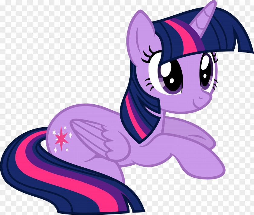 Sparkle Twilight Pony Rarity Pinkie Pie Winged Unicorn PNG