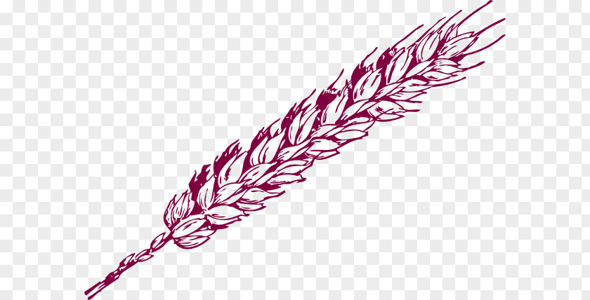 Wheat Border Cliparts Cereal Clip Art PNG