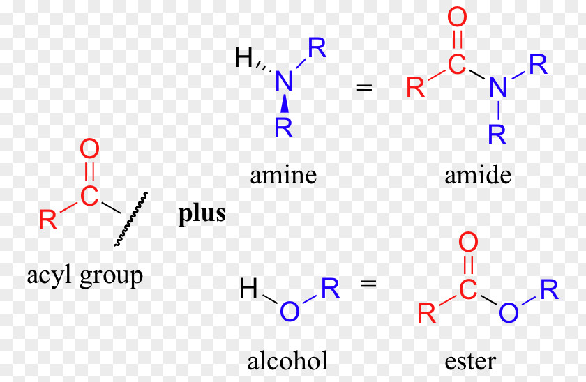 Amine Amide Acyl Group Functional Chemistry PNG