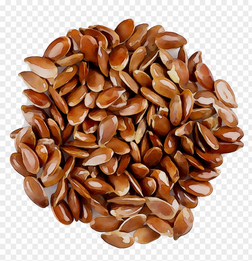 Commodity Seed PNG