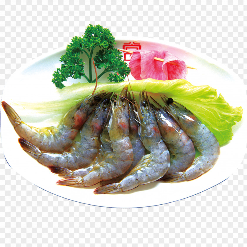 Fresh Shrimp Caridea Hot Pot Shishamo Corn Soup PNG