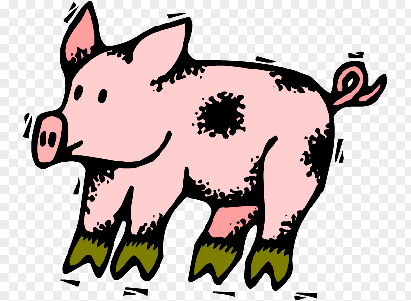 Pig Drawing Giant Panda Clip Art PNG