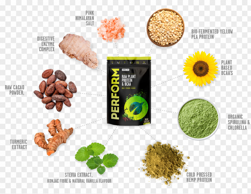 Plant Raw Foodism Protein Veganism Bodybuilding Supplement Eiweißpulver PNG