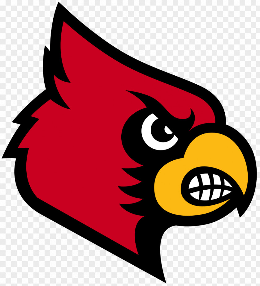 Cardinal University Of Louisville Cardinals Men's Basketball Football DePaul NCAA Division I Tournament PNG