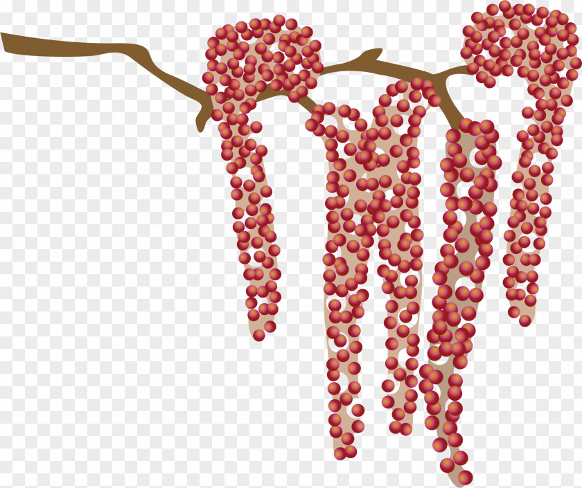 Catkin Clip Art Openclipart Free Content Bead PNG