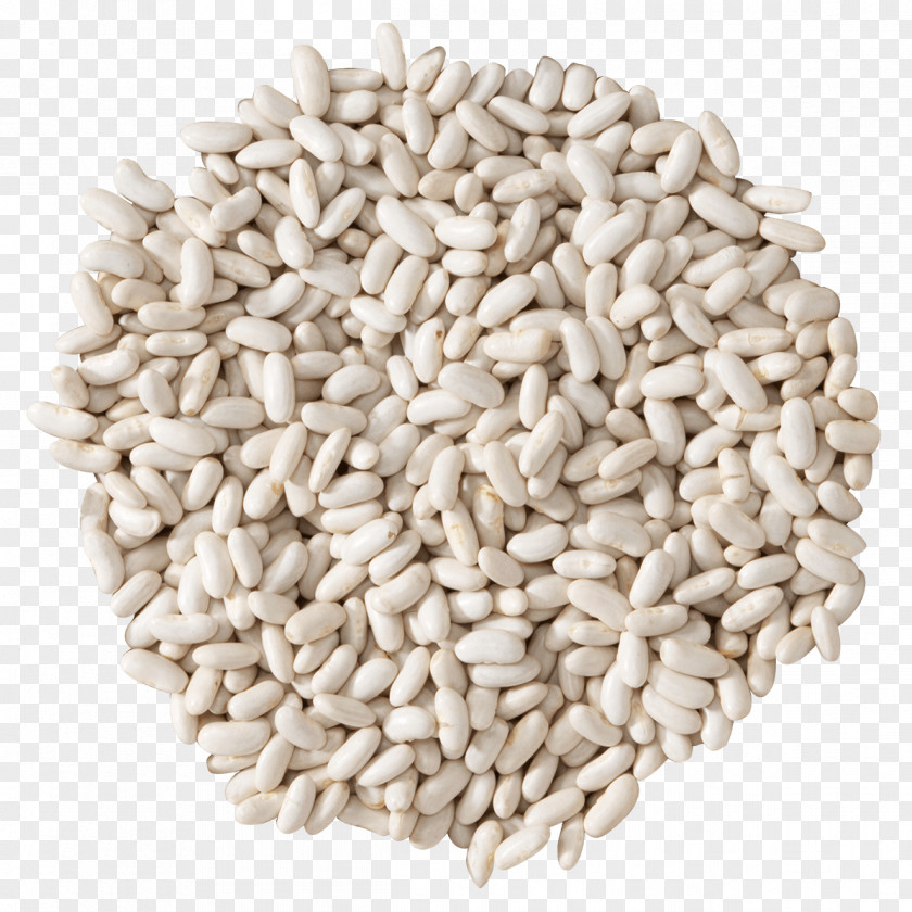 Dill Vegetarian Cuisine Common Bean Food Cereal Seed PNG