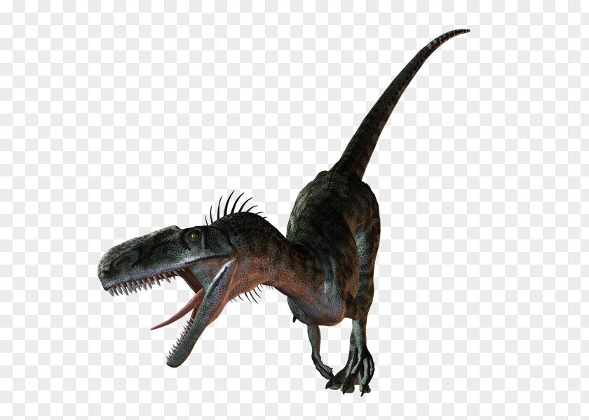 Dinosaurs Velociraptor Dinosaur Tyrannosaurus PhotoScape Clip Art PNG