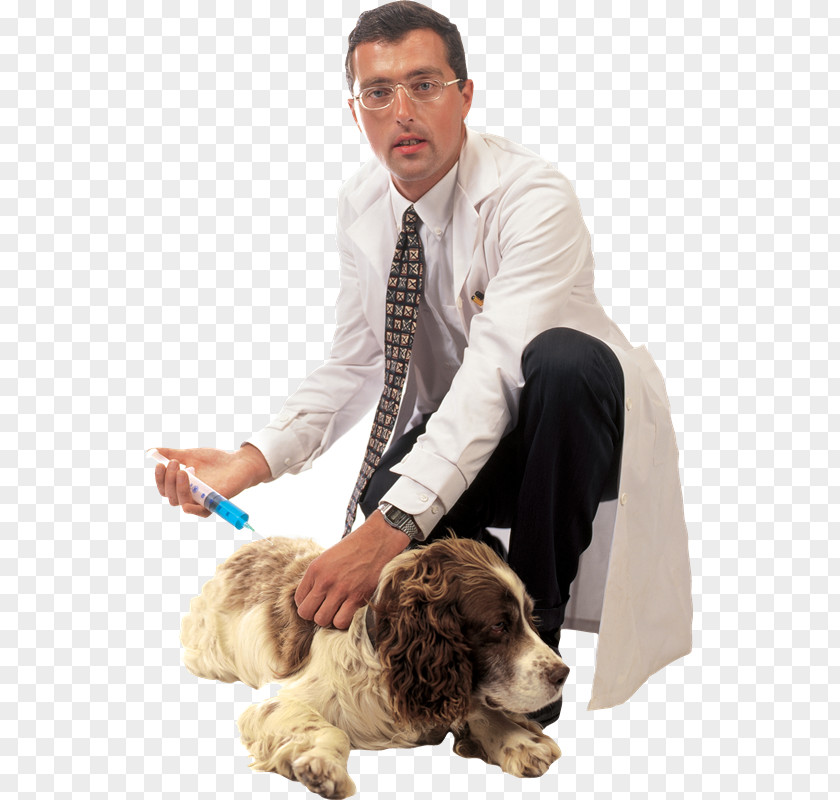 Dog Breed Puppy Veterinarian PNG