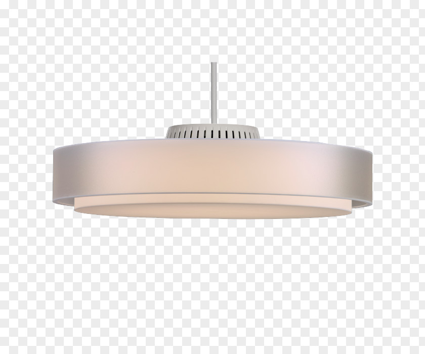 Elongated Dodecahedron Ceiling Light Fixture PNG