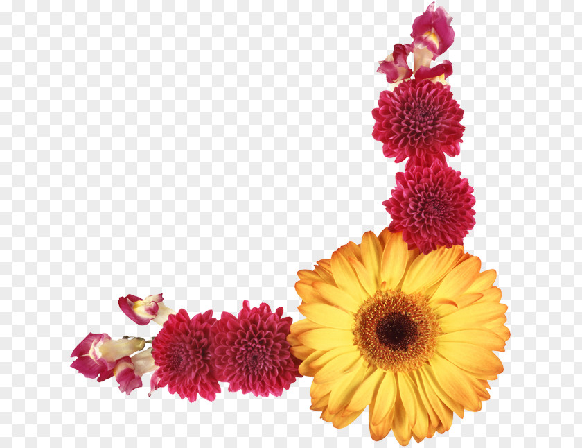 Flower Photography Cut Flowers Floral Design PNG