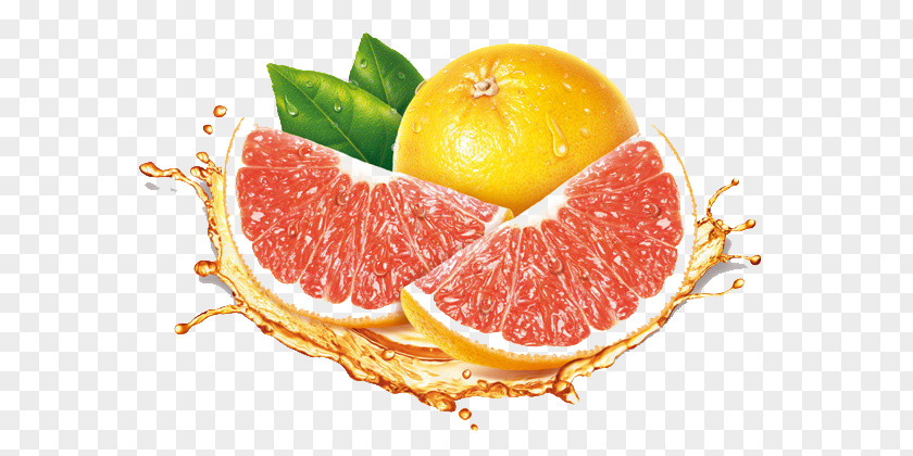 Hand-painted Blood Orange Grapefruit Illustration PNG