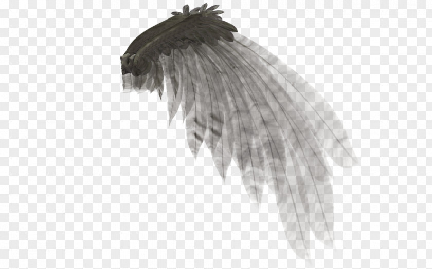 Angel Wing Rendering PNG