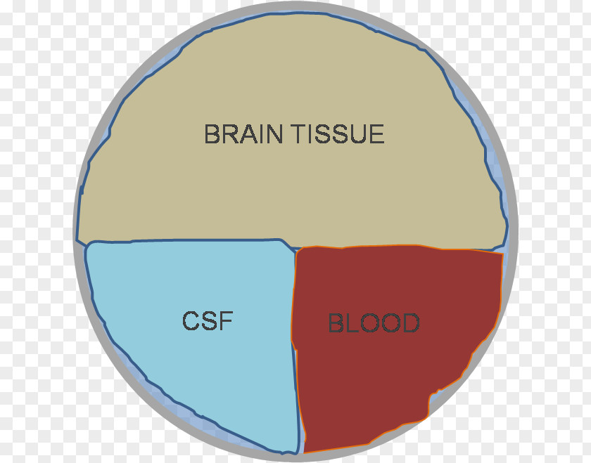 Blood Doktryna Monro-Kelliego Cerebrospinal Fluid Hypothesis Skull PNG