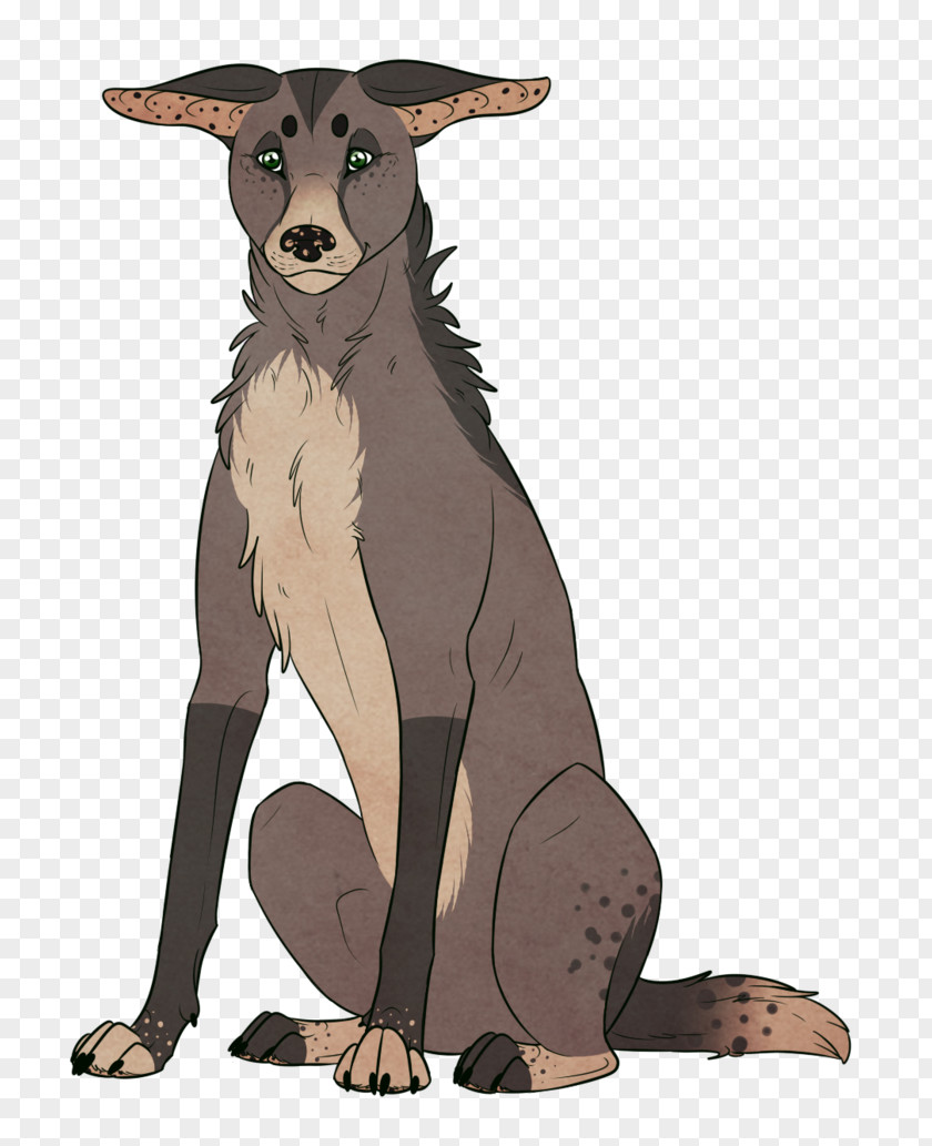 Dog Breed Macropods Fauna Animated Cartoon PNG