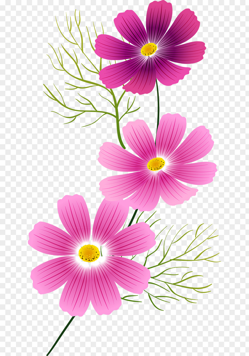 Flower Painting Clip Art PNG