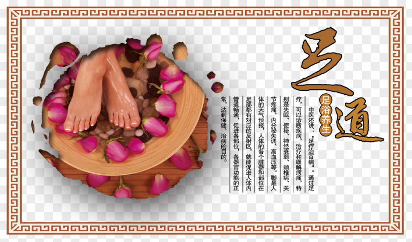 Foot Bath Panel Picture Chang'an, Dongguan Gaoyang Footbath Center Traditional Chinese Medicine PNG