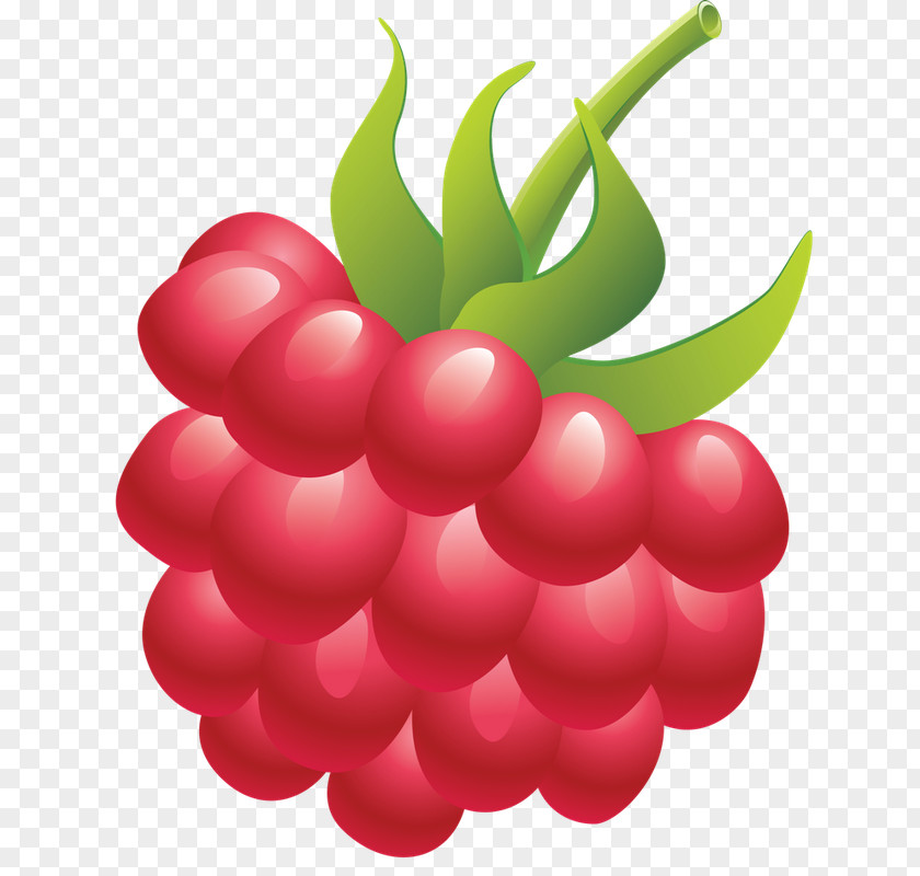 Raspberry Clip Art Red Berries PNG