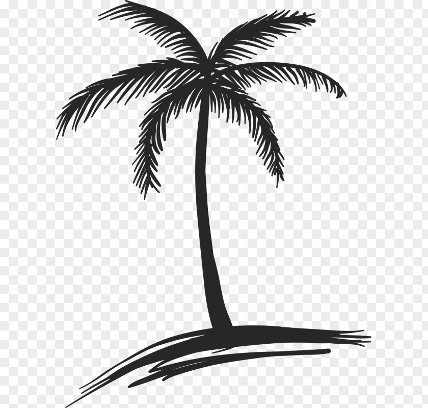 Star Ocean Drawing Coconut Arecaceae Tree Watercolor Painting PNG