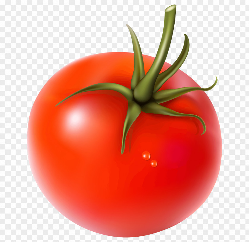 Vegetable Tomato Juice Vegetarian Cuisine Soup Cherry PNG