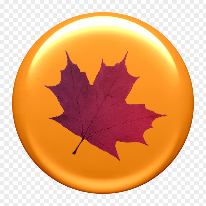 Autunm Paper Maple Leaf Autumn Color PNG