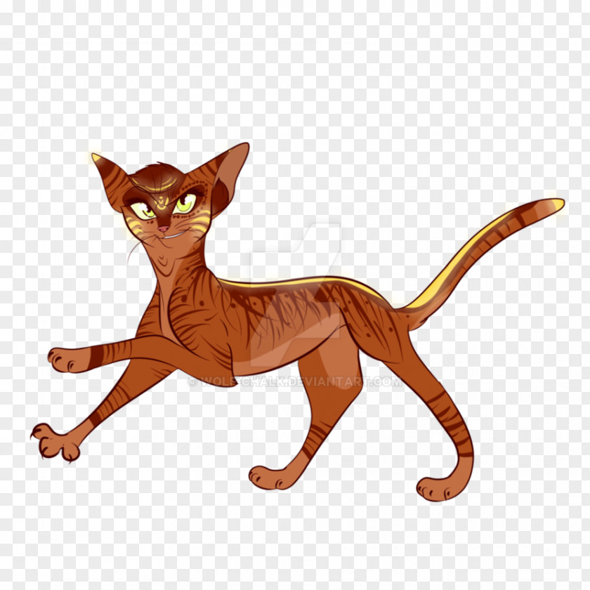 Cat Whiskers Paw Cartoon Tail PNG