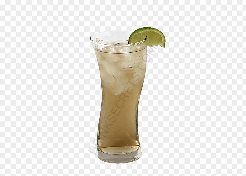 Cocktail Garnish Non-alcoholic Drink Highball Gin PNG