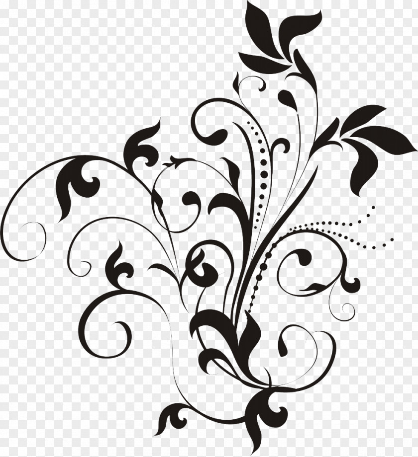 Design Ornament Image Drawing Flower PNG