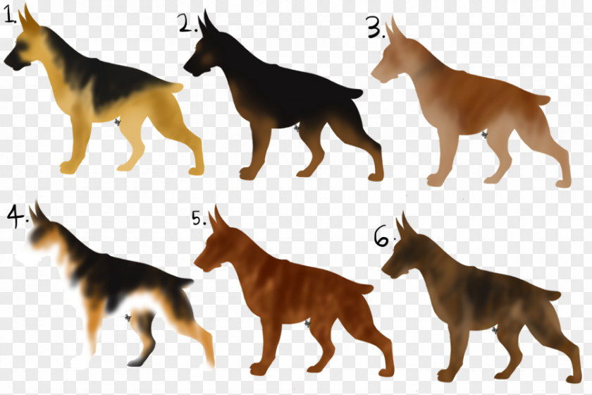 Dog Breed Fauna Wildlife PNG