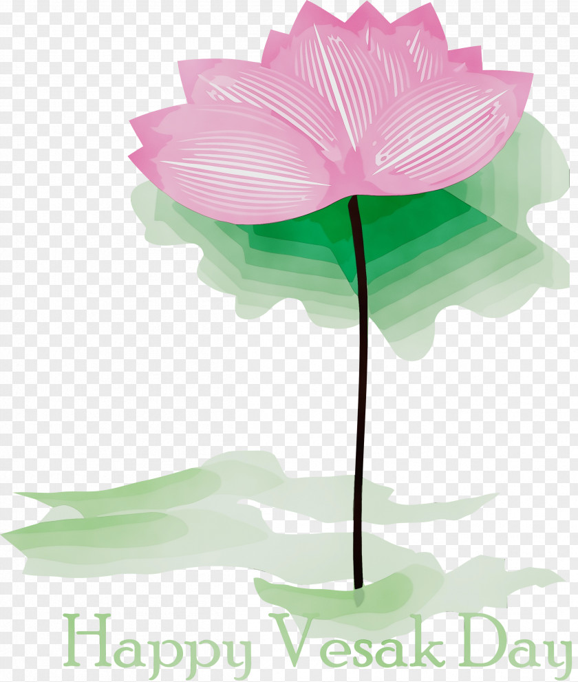 Lotus PNG