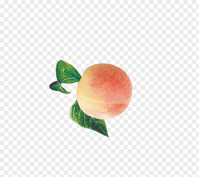 Peach Auglis Download Fruit PNG