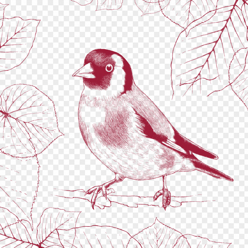 Tree Sparrow Bird PNG