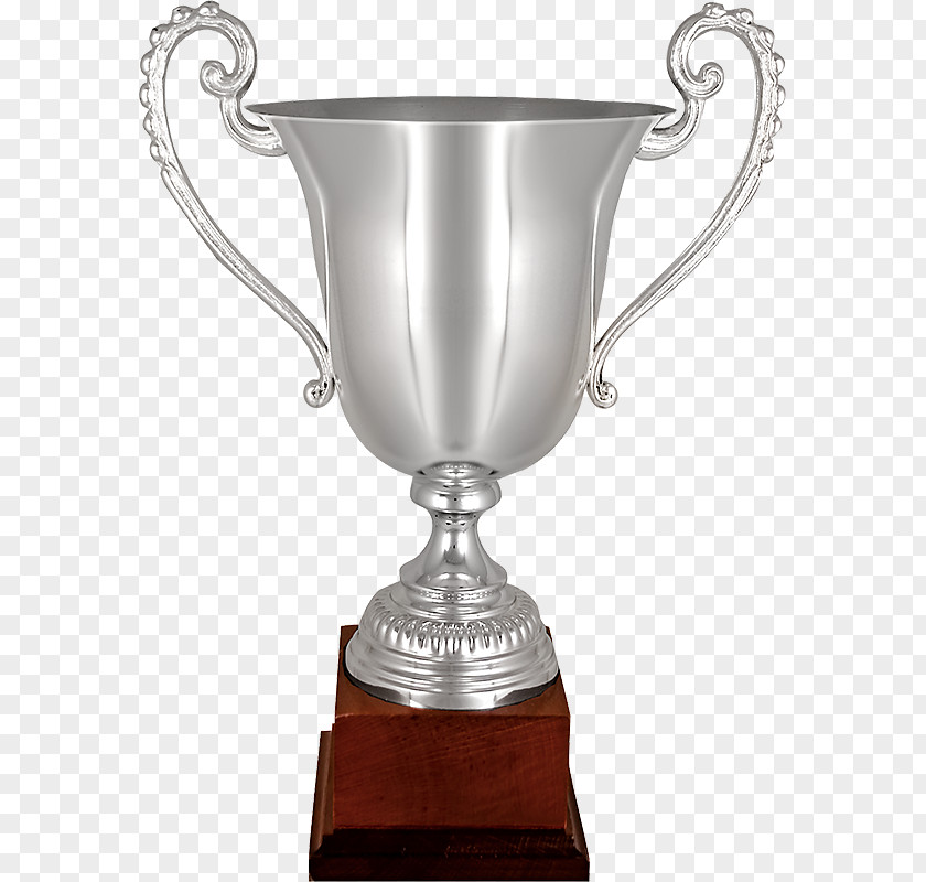 Trophy Award Sport Cup Silver PNG