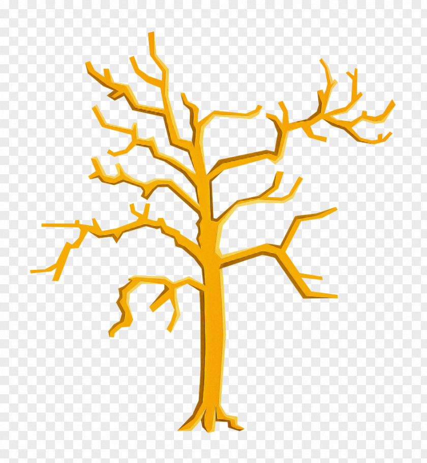 Twig Plant Stem Branch Tree Yellow Leaf Line PNG