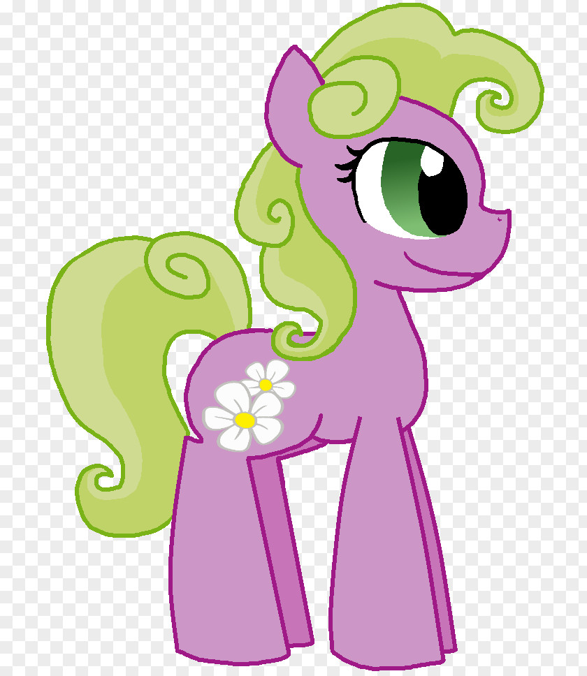 Floral Wishes Card Flower My Little Pony Wish PNG