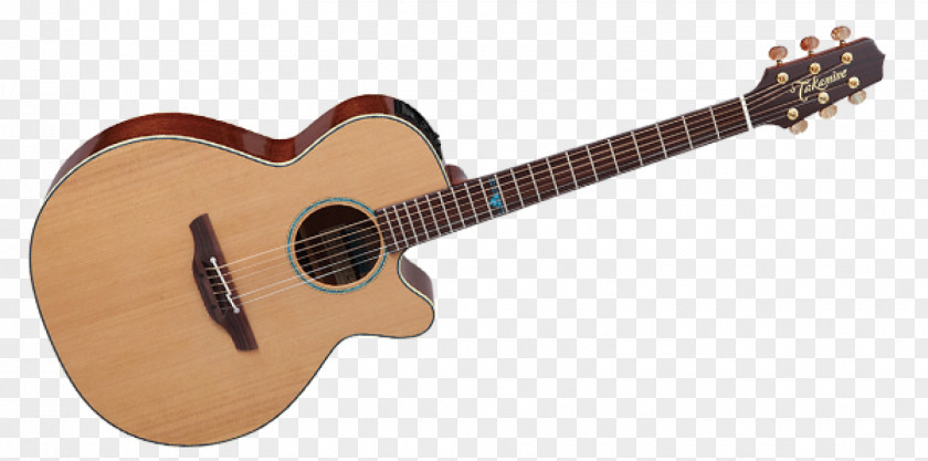 Guitar Twelve-string Takamine Guitars Acoustic-electric Acoustic PNG