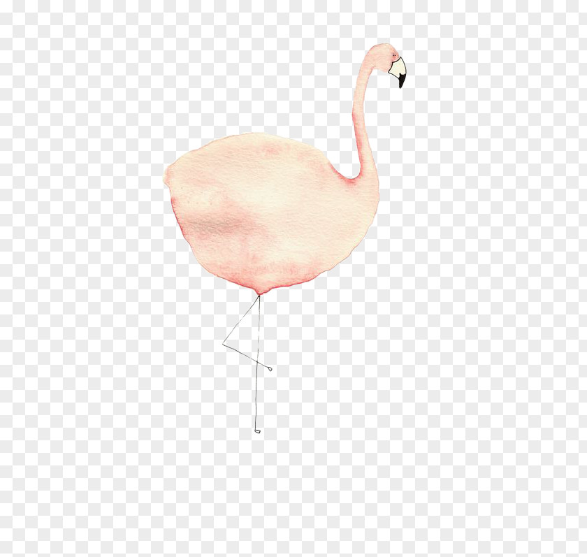 Painted Fat Flamingos Bird PNG