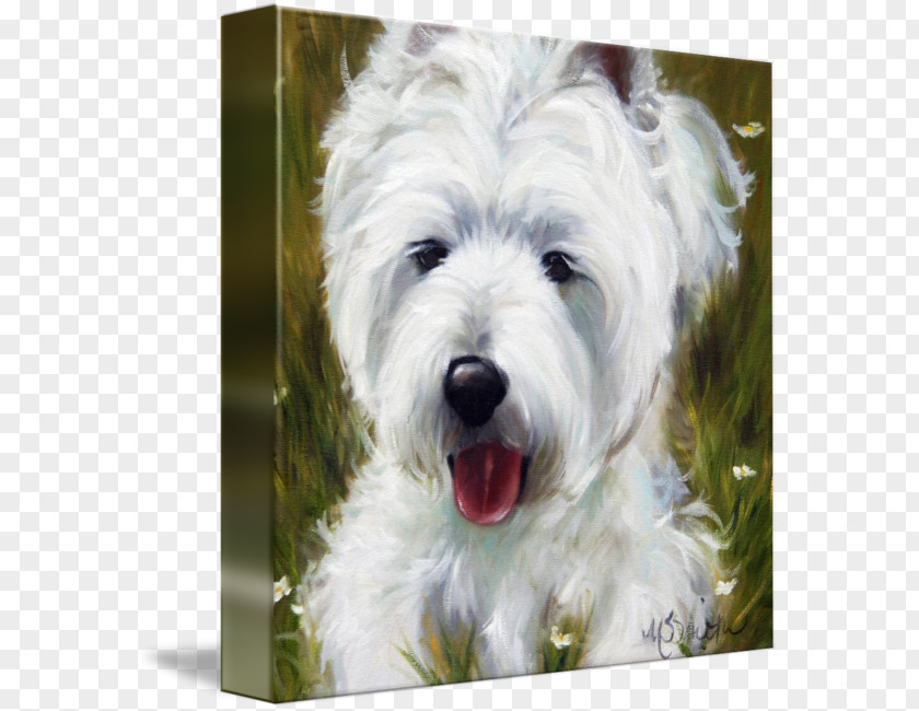 Puppy West Highland White Terrier Glen Cairn Dandie Dinmont Soft-coated Wheaten PNG