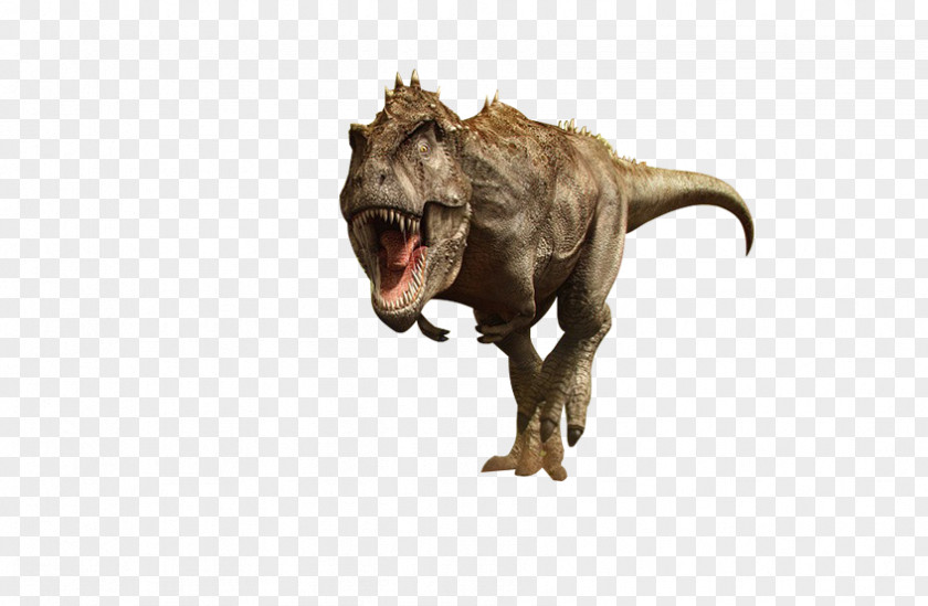 Brown Dinosaur Tyrannosaurus Velociraptor PNG