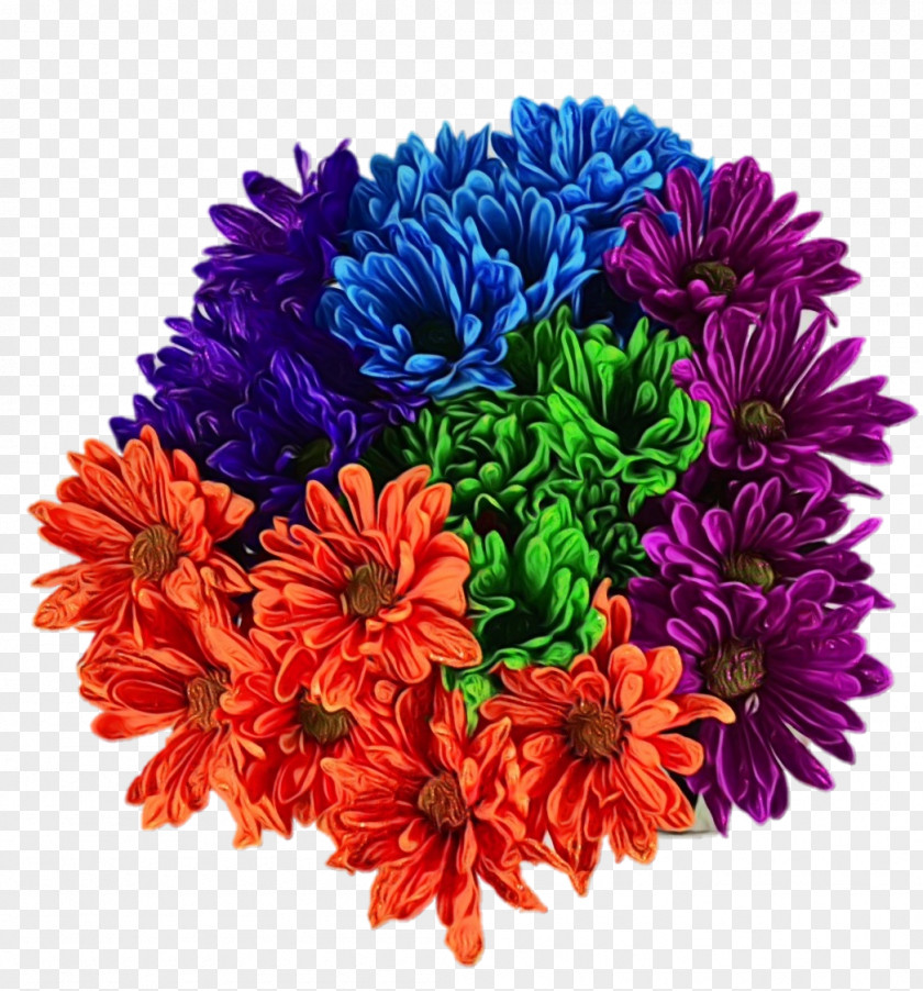 Chrysanthemum Cut Flowers Transvaal Daisy Floral Design PNG