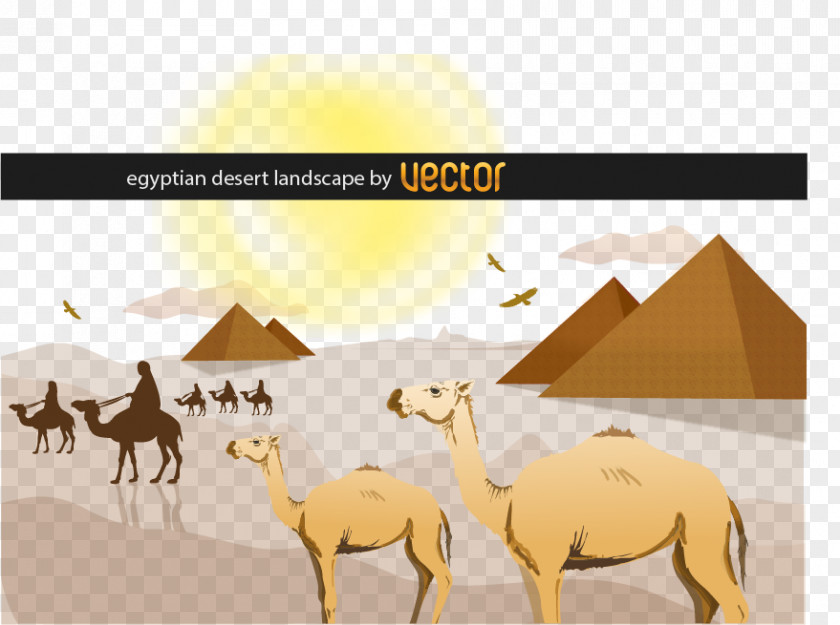 Desert Sahara Landscape Clip Art PNG