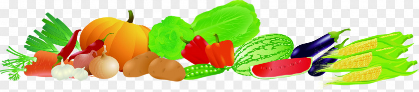 Fruits And Vegetables Vegetable Fruit Food PNG