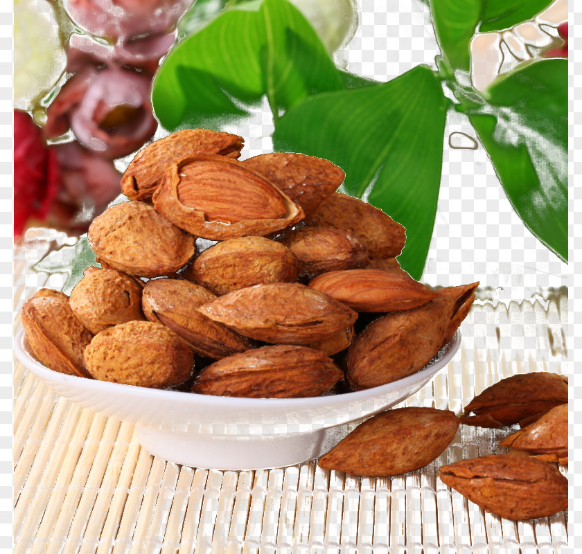 A Bowl Of Almond Apricot Background Foliage Kernel PNG