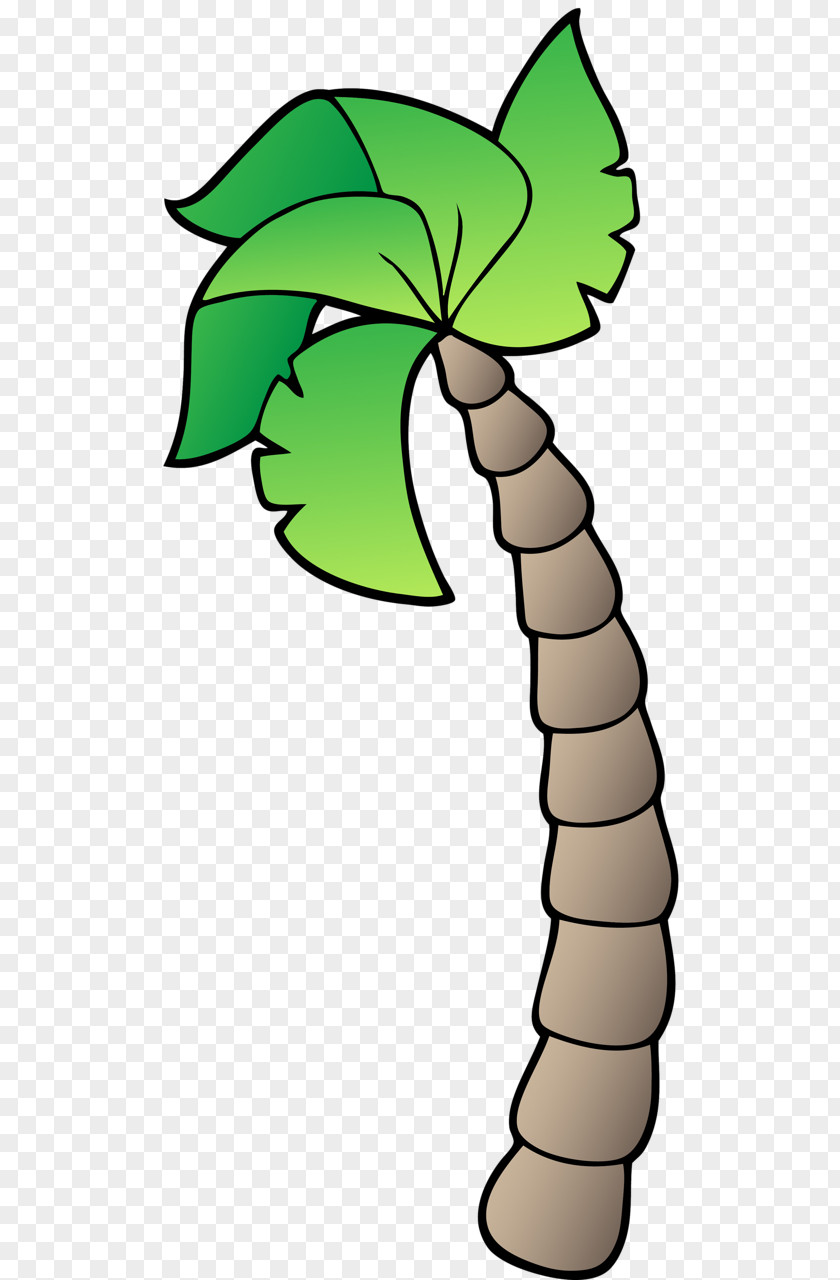 Coconut Clip Art Drawing Image Cartoon PNG