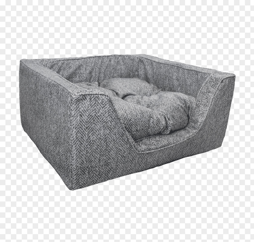 Fancy Dog Couch Rectangle Square PNG