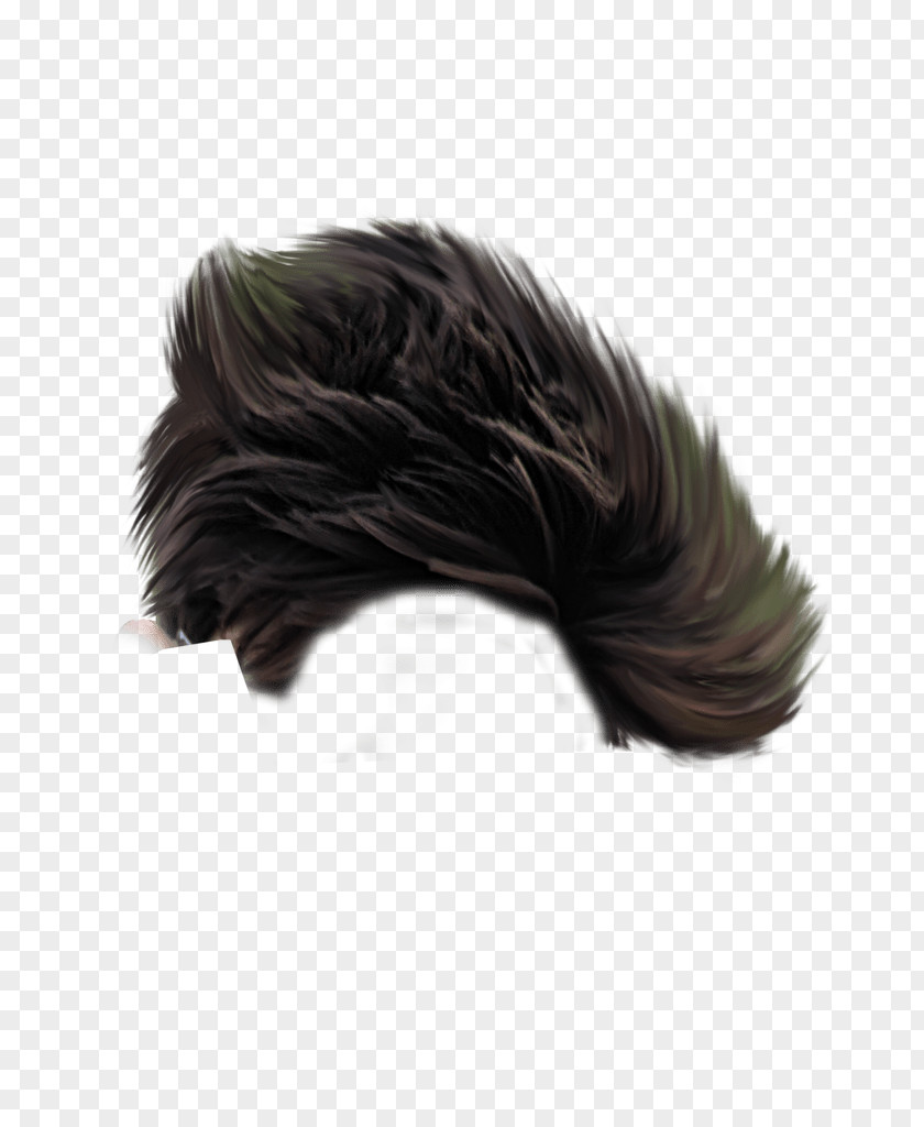 Hair Hairstyle Long Wig PNG