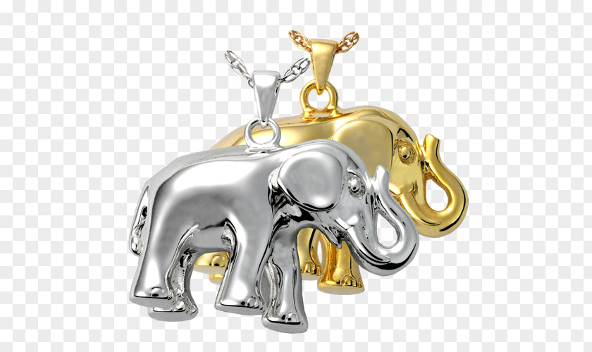 Jewellery Urn Charms & Pendants Cremation Elephantidae PNG