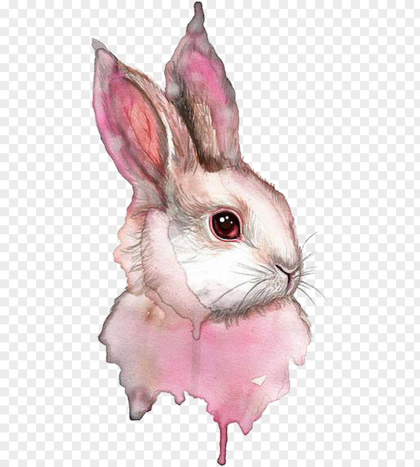 Rabbit Watercolor Painting Drawing PNG