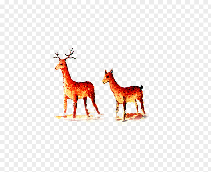 Deer Reindeer Giraffe Antler Text Illustration PNG